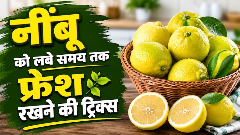 फ्रिज में ऐसे रखते हैं नींबू तो खुद ही कर रहे हैं खराब! 90% लोग नहीं जानते महीनों तक फ्रेश रखने वाली ये सीक्रेट ट्रिक