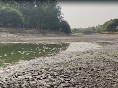 दिल्ली गर्मी से वाकई उबल रही है, संजय झील में मर गई सैकड़ों मछलियां-VIDEO