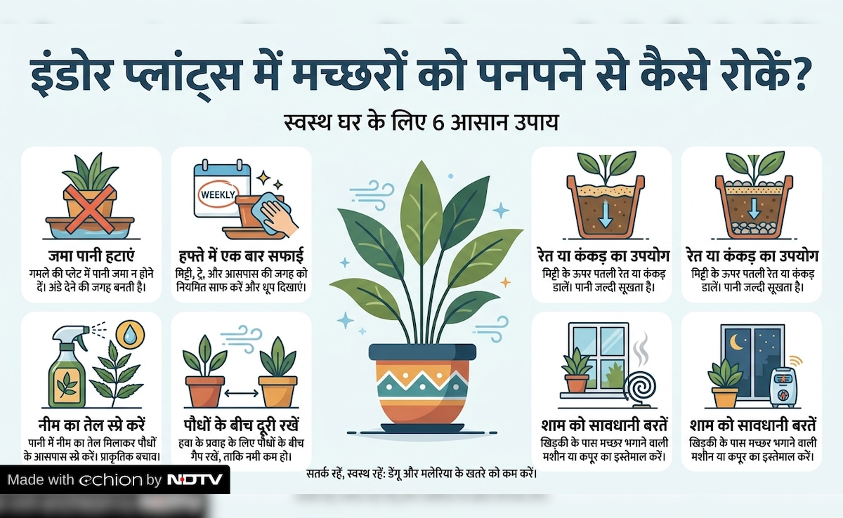 Latest and Breaking News on NDTV