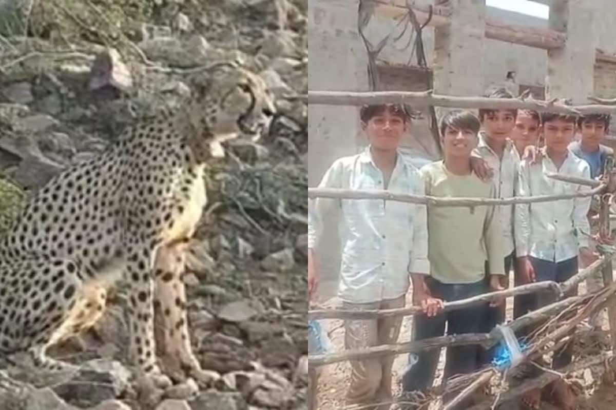 चीते के मूवमेंट के बाद बच्चे घरों में कैद है. 