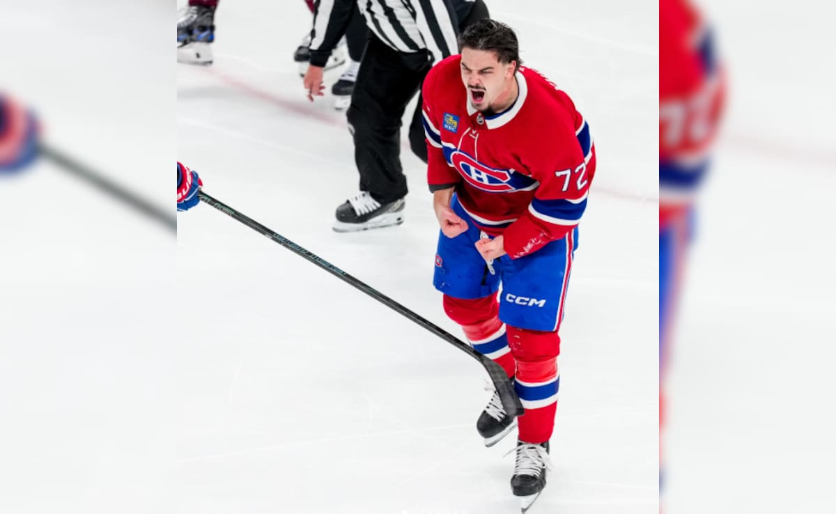 Montreal Canadiens Arber Xhekaj Praised After Reportedly Helping Save Man Near Lachine Canal