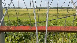 Detect, Delete, Deport: Inside Bengal's Indo-Bangladesh Border Security Drive