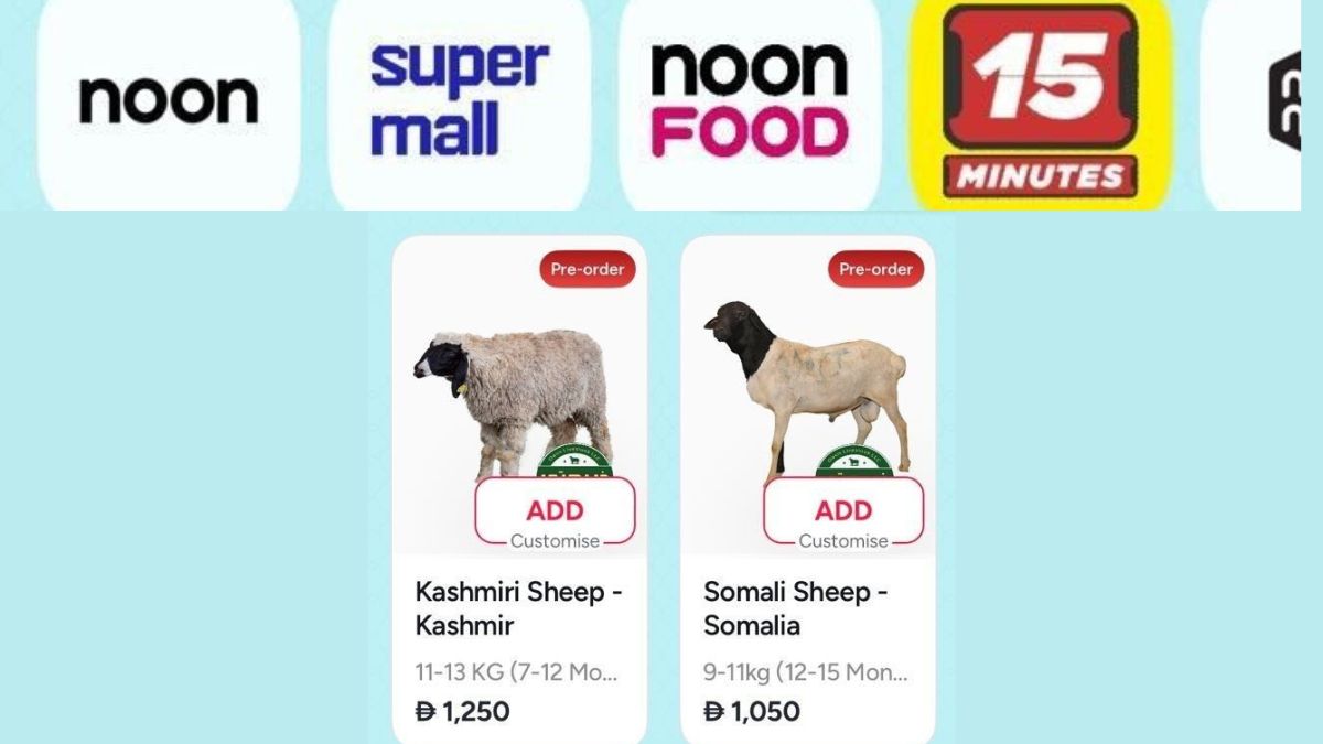 Dubai App's Viral '15-Minute Sheep Delivery' For Eid Divides Internet