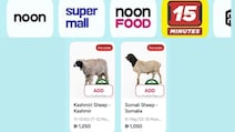 Dubai App's Viral '15-Minute Sheep Delivery' For Eid Divides Internet