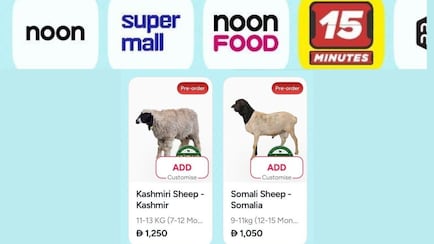 Dubai App's Viral '15-Minute Sheep Delivery' For Eid Divides Internet