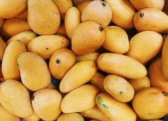 Why You Should Refrigerate Mangoes Only After They Ripen
