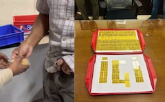 Gold Bars Worth Rs 5.5 Crore Hidden In Pants, US Man Caught At Delhi Airport