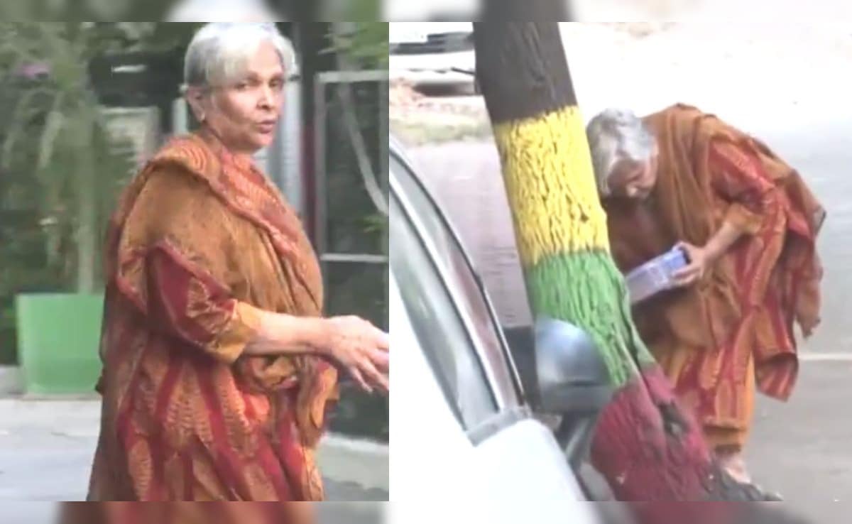 Twisha Sharma Case: रात में जमानत रद्द और सुबह आवारा कुत्ते को खाना खिलाती दिखीं सास गिरिबाला, VIDEO आया सामने