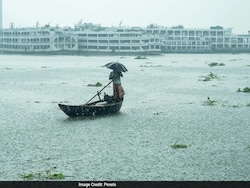 El Nino Raises Ocean Temperatures: How Marine Life Could Be Affected