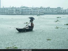El Nino Raises Ocean Temperatures: How Marine Life Could Be Affected