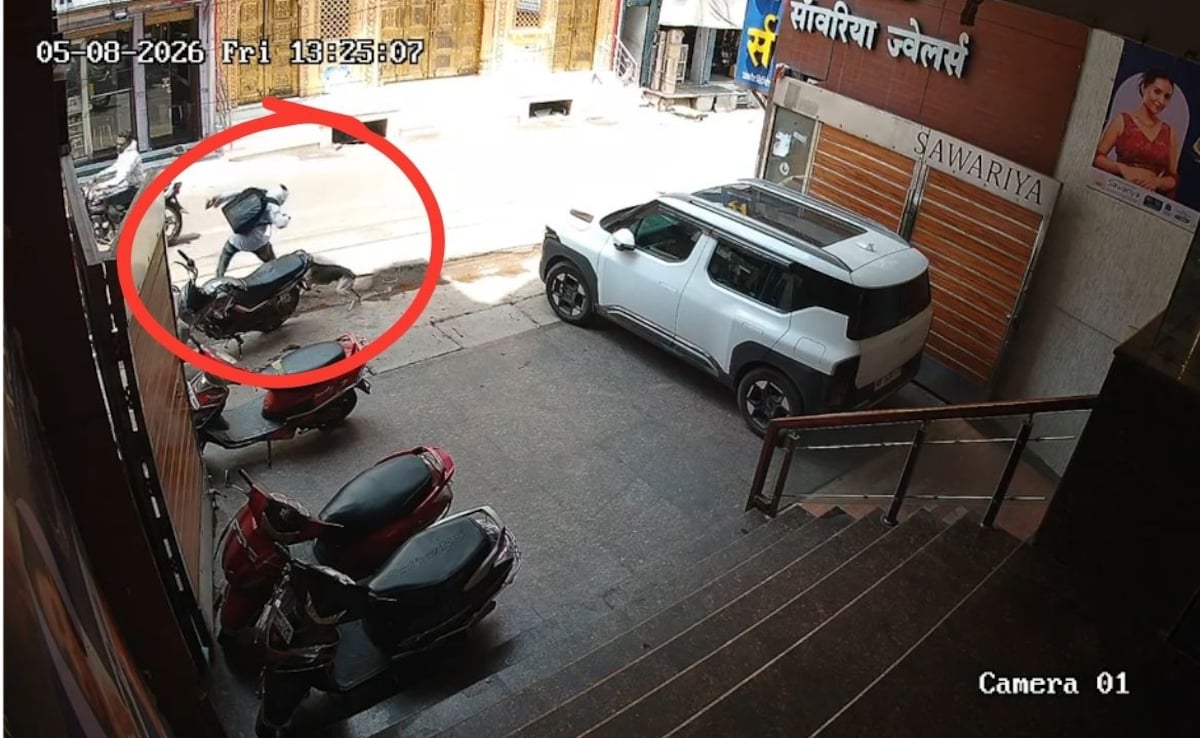 MP News: सागर में आवारा कुत्ते का आतंक, एक दर्जन से ज्यादा लोगों को काटा, CCTV वीडियो आया सामने