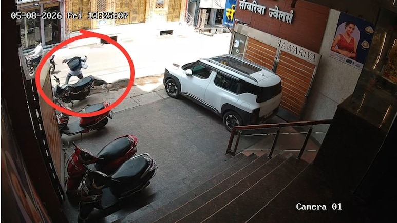 MP News: सागर में आवारा कुत्ते का आतंक, एक दर्जन से ज्यादा लोगों को काटा, CCTV वीडियो आया सामने