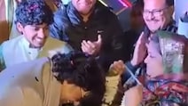 59 की उम्र में दोबारा दुल्हन बनीं सलमान की 'भाभी', वरमाला पहनाने से पहले दूल्हे आशुतोष को यूं किया परेशान