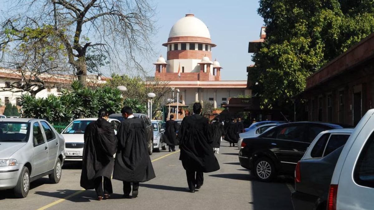 ‘काले कोट में पैरासाइट?', फर्जी डिग्री वाले वकीलों पर सुप्रीम कोर्ट सख्त, CJI सूर्यकांत ने जताई चिंता