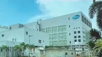 Pfizer Declares Bumper Dividend Of Rs 75/Share Even As Q4 Profit Slides; Check Record Date