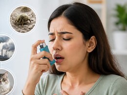 World Asthma Day: घर के अंदर छिपे ये ट्रिगर्स बढ़ा सकते हैं Asthma Attack
