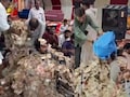 स्टेज पर गा रहा था गुजराती सिंगर, फैंस ने लगा दी नोटों की ढेरी, VIDEO देख लोग बोले- लाइफ हो तो ऐसी