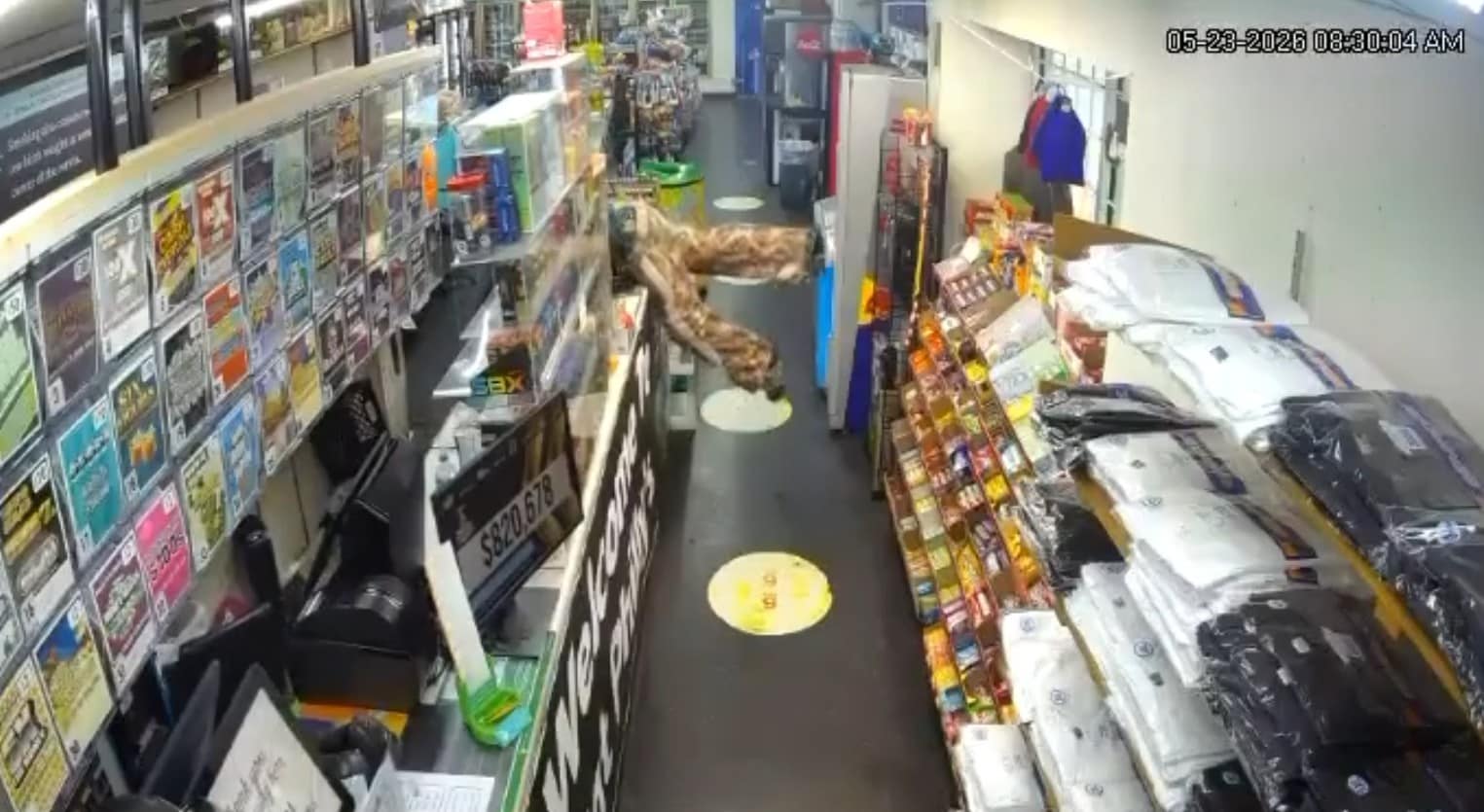 The attacker slides over the counter and continues to fire at the woman The attacker slides over the counter and continues to fire at the woman