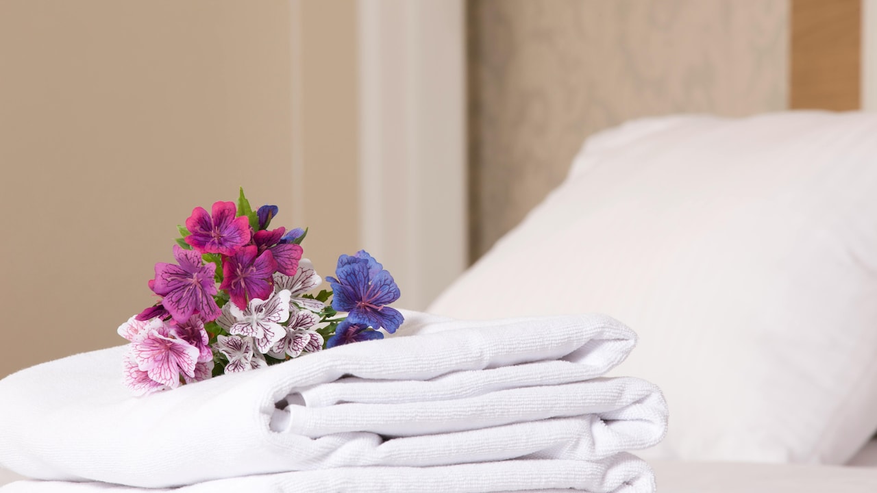 Budget-friendly bedding picks to upgrade your space on Shopsy SASA LELE Sale