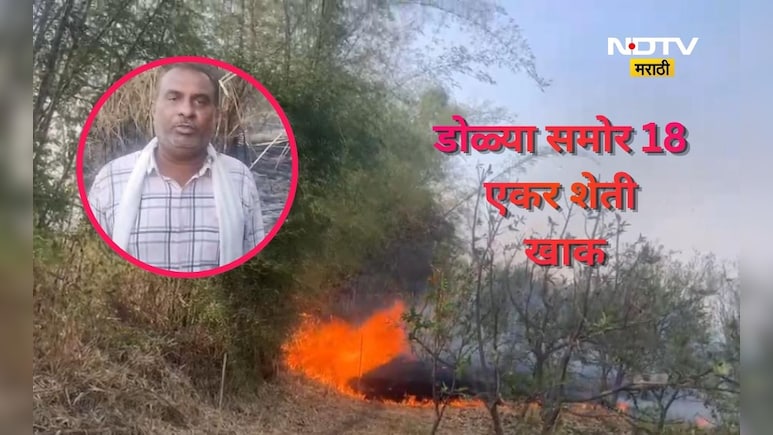 Akola News: '500 रुपयांसाठी 18 एकर शेती पेटवली' प्रकरण ऐकून अंगावर काटा येईल