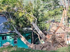 मौसम की मार से प्रभावित किसानों को राहत! बिहार के CM ने दिए फसल नुकसान के तुरंत सर्वेक्षण के निर्देश