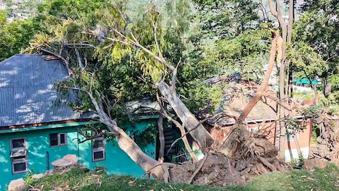 मौसम की मार से प्रभावित किसानों को राहत! बिहार के CM ने दिए फसल नुकसान के तुरंत सर्वेक्षण के निर्देश