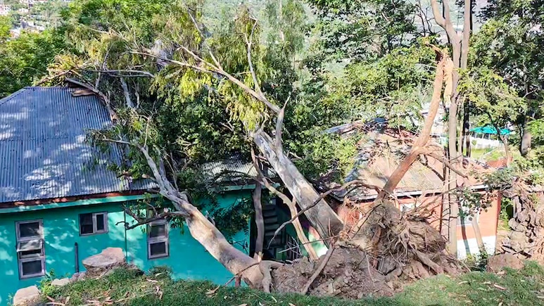 मौसम की मार से प्रभावित किसानों को राहत! बिहार के CM ने दिए फसल नुकसान के तुरंत सर्वेक्षण के निर्देश