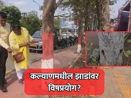 Kalyan News: कल्याणमधील झाडांवर विषप्रयोगाचा संशय, छिद्र करून विषारी रसायन भरलं?
