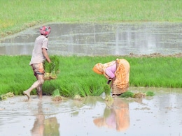 Maharashtra Rain : महाराष्ट्रात मान्सूनचं आगमन कधी? शेतकऱ्यांसाठी कृषी विभागाकडून मोठी माहिती
