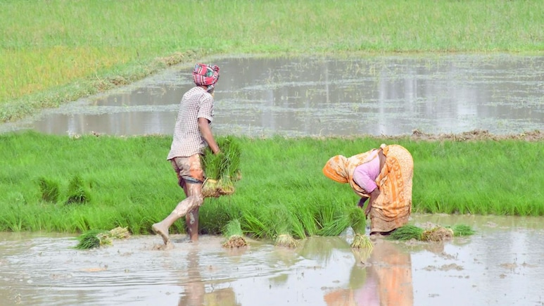Maharashtra Rain : महाराष्ट्रात मान्सूनचं आगमन कधी? शेतकऱ्यांसाठी कृषी विभागाकडून मोठी माहिती