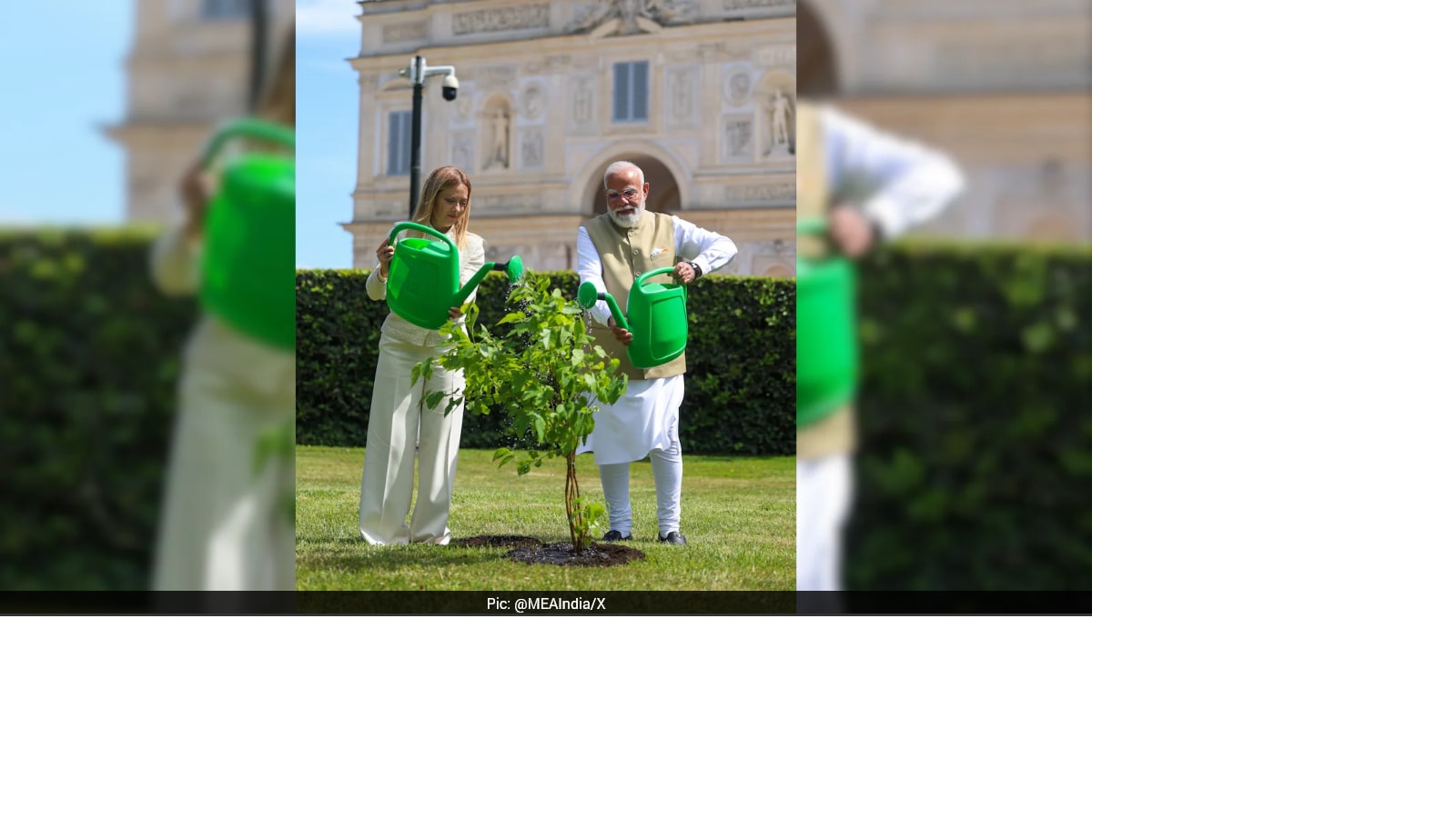 PM Modi, Italy PM Giorgia Meloni Plant Tree In Rome Under “Ek Ped Maa Ke Naam” Initiative