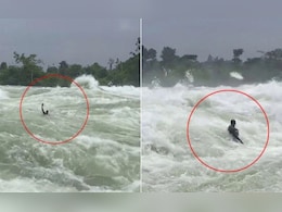 मौत को छूकर 'टच' से वापस! नील नदी की 'कातिल' लहरों पर ऐसी डुबकी लगाता दिखा शख्स, देख हलक में आ जाएगा कलेजा
