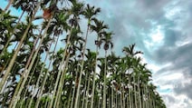 5 Cool Ways To Enjoy Coorg This Summer