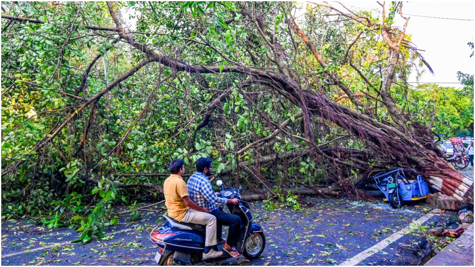 बिहार में आंधी-तूफान का कहर: 107 KMPH की रफ्तार से चली हवाएं, 7 लोगों ने गंवाई जान; IMD की नई चेतावनी