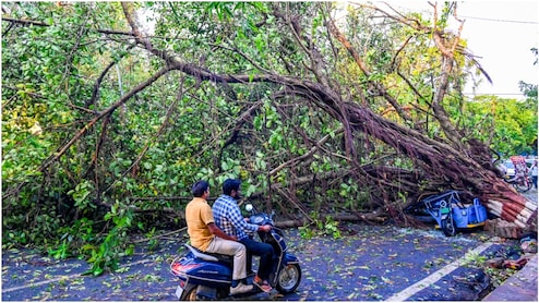 बिहार में आंधी-तूफान का कहर: 107 KMPH की रफ्तार से चली हवाएं, 7 लोगों ने गंवाई जान; IMD की नई चेतावनी