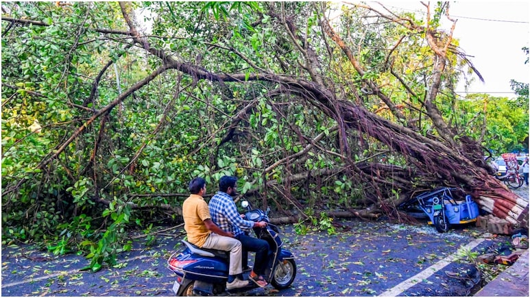 बिहार में आंधी-तूफान का कहर: 107 KMPH की रफ्तार से चली हवाएं, 7 लोगों ने गंवाई जान; IMD की नई चेतावनी