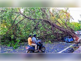 यूपी-बिहार में बिजली गिरने से कई लोग प्रभावित, बारिश के मौसम में बिजली गिरने का है डर,इन 3 बातों का रखें ध्यान
