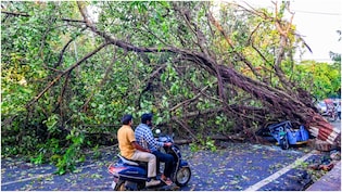 यूपी-बिहार में बिजली गिरने से कई लोग प्रभावित, बारिश के मौसम में बिजली गिरने का है डर,इन 3 बातों का रखें ध्यान