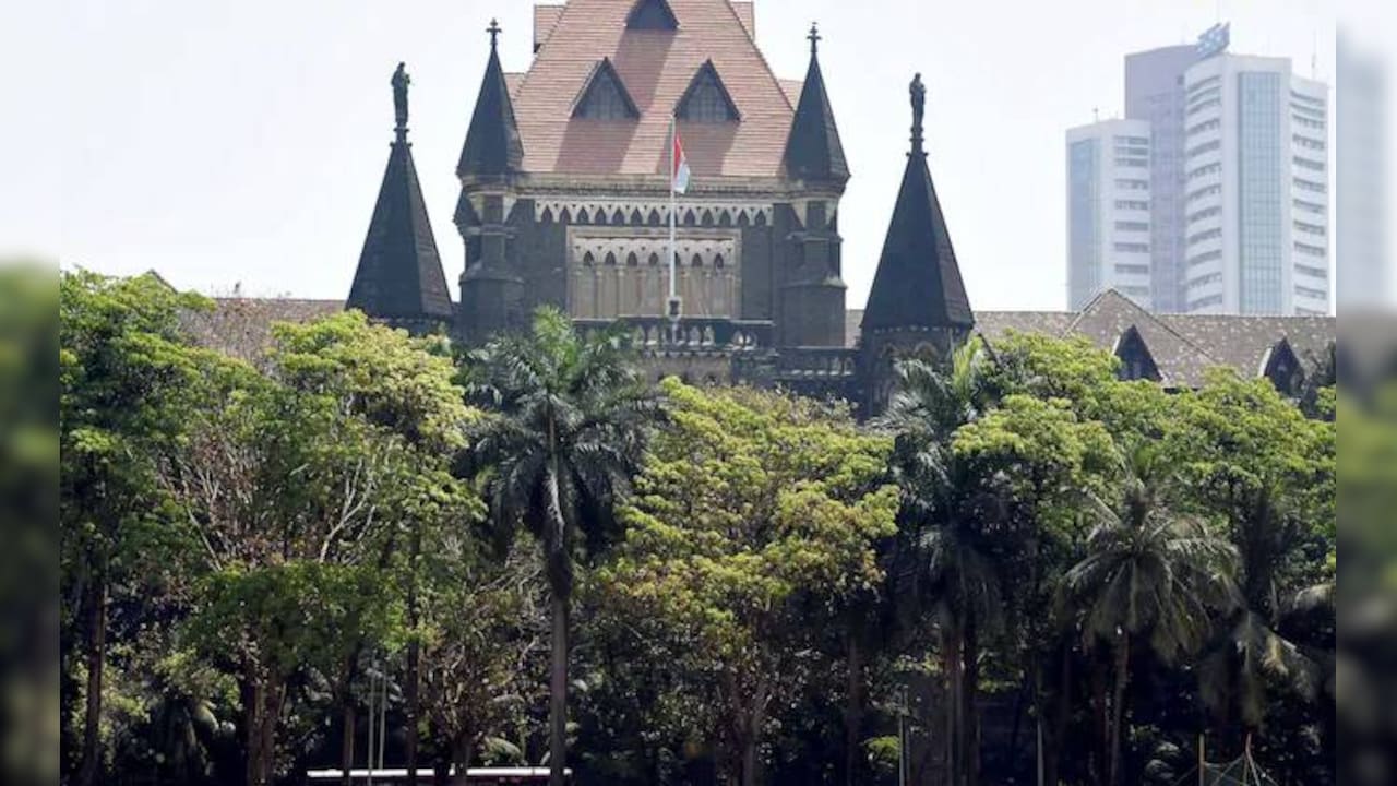"Serious Blot On Civilised Society": Bombay High Court On Manual Scavenging