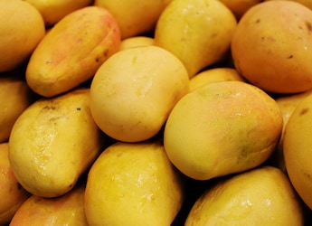 Which City Is Known As The Mango Capital Of The World?