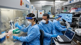 Thailand Scientists Identify New Coronavirus With Potential Human Infection Risk