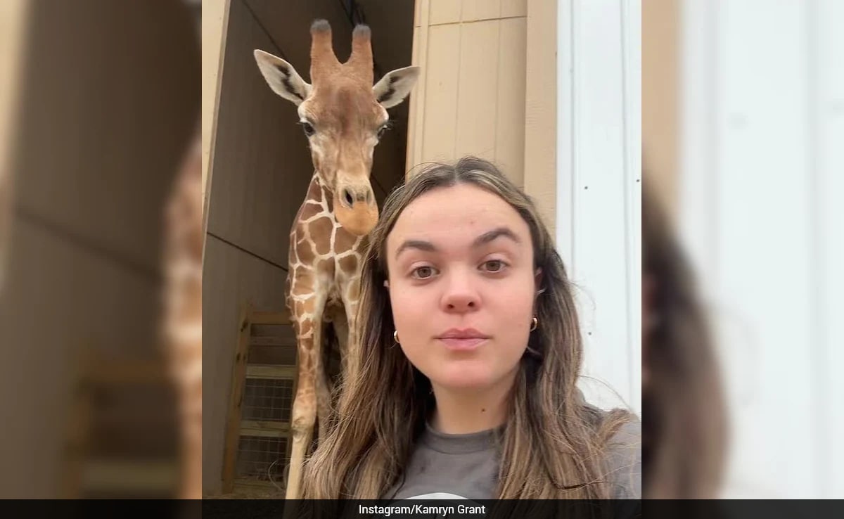 This 23-Year-Old Woman Built An Airbnb Where You Wake Up Next To A Giraffe