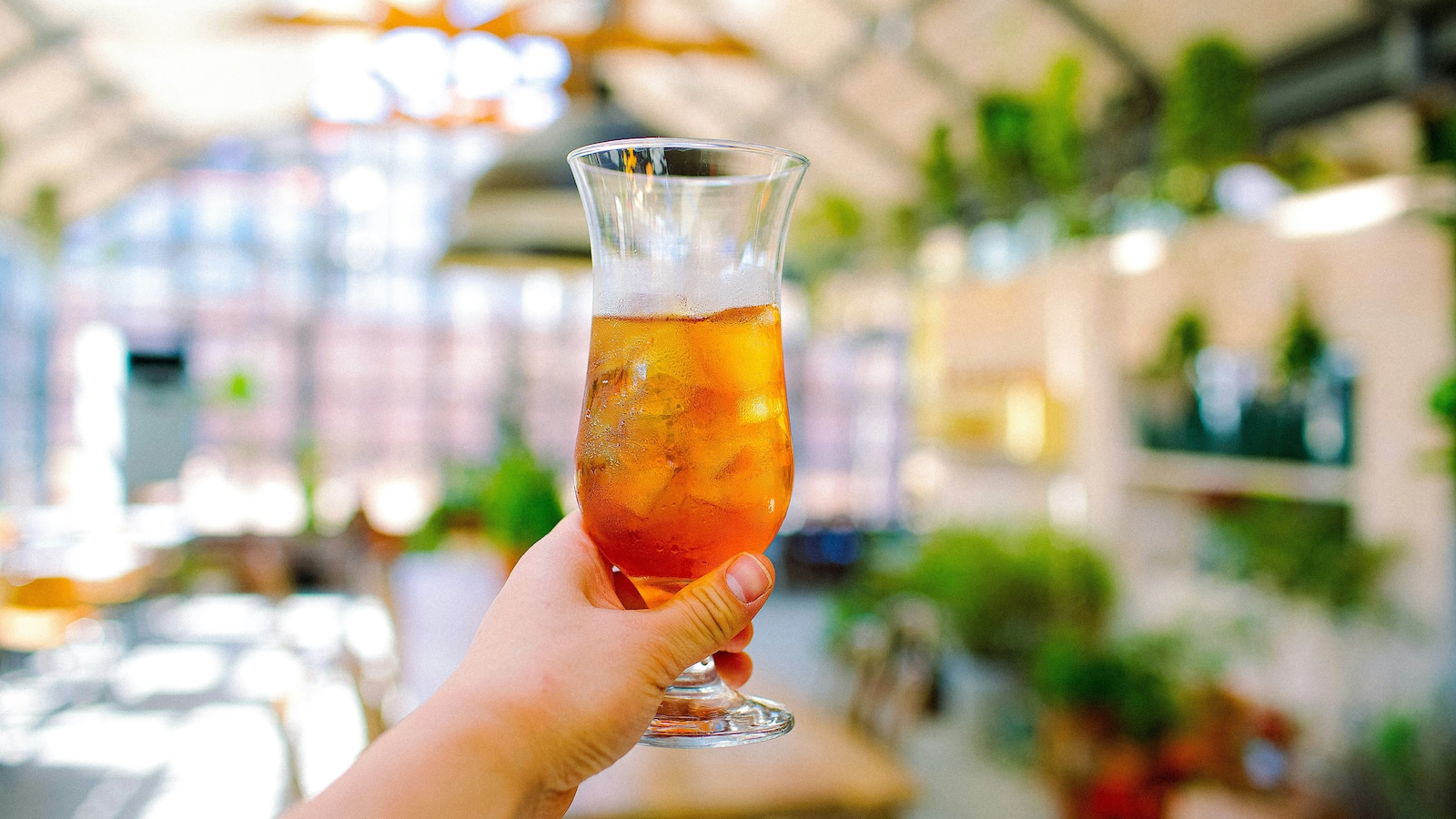 5 Iced Tea Recipes You Need to Brew This Summer