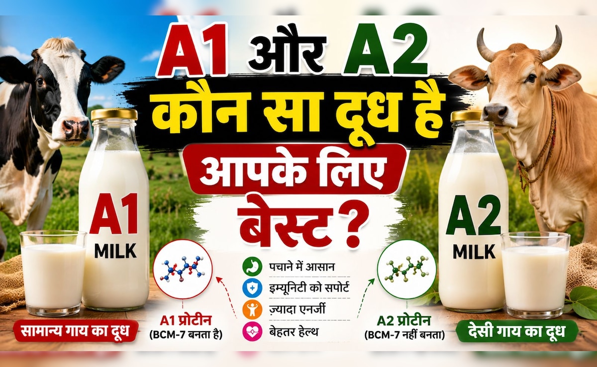 A1 और A2 दूध में क्या अंतर है, क्यों मिलता है A2-Milk महंगा? जानें कौन-सा दूध सबसे ज्यादा पौष्टिक