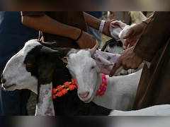 Delhi Issues Bakrid Advisory, Bans Cow, Camel Sacrifice In Public Places
