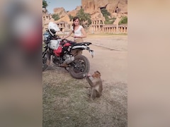 Monkey Steals Tourist's Coca-Cola In India, Internet Calls It 'Tourist Tax'