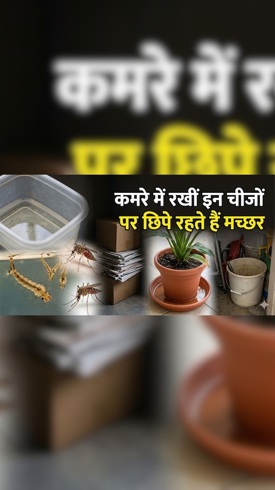 कमरे में रखीं इन चीजों पर छिप जाते हैं मच्छर, आज ही करें बाहर
