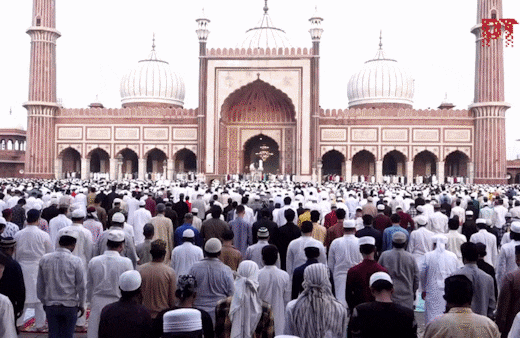 Bakrid Eid 2026 LIVE Updates: यूपी में बकरीद पर हाई अलर्ट, दिल्ली-बंगाल में भी फ्लैग मार्च, मुंबई की सोसायटी में पुलिस का कड़ा पहरा