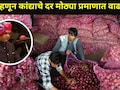 Big News: "कांद्याचा काळाबाजार करणाऱ्यांवर मकोका लागणार, इन कॅमेरा..", भाजप मंत्र्याचा मोठा इशारा
