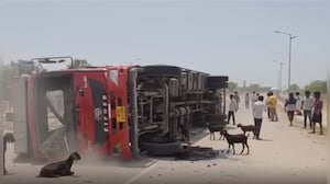 सड़क पर पलटा बकरे से भरा ट्रक, लूटने की मच गई होड़